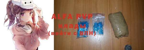 молекула духа Михайлов
