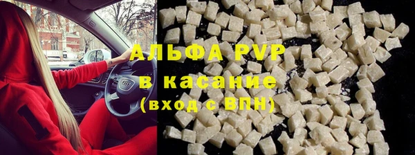 молекула духа Михайлов