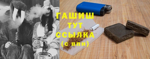 молекула духа Михайлов