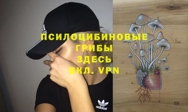 молекула духа Михайлов